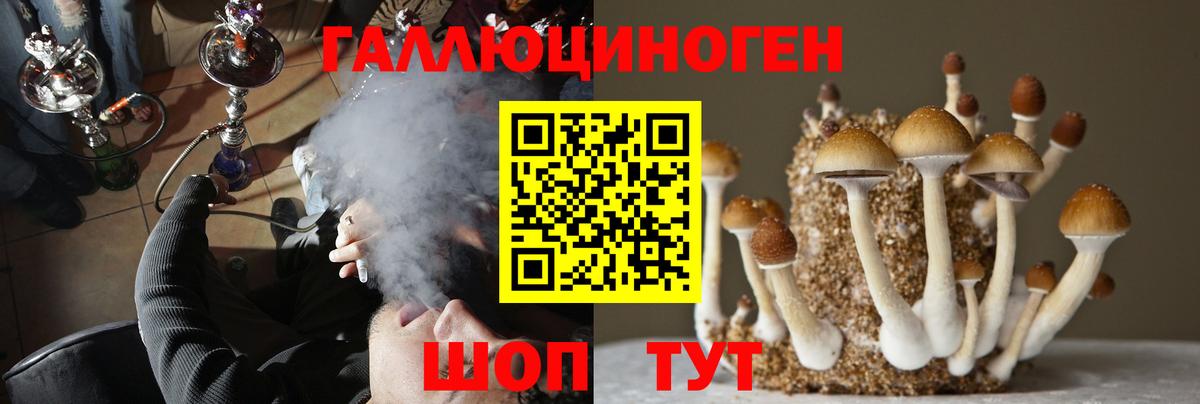 Псилоцибиновые грибы Cubensis  Вход с VPN  Чебаркуль 